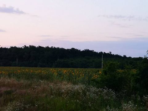 Eladó Telek 3000 Hatvan 