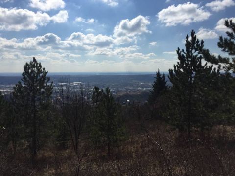 Eladó Telek 2040 Budaörs 