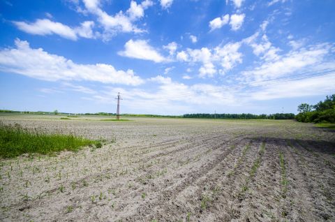 Eladó Telek 2378 Pusztavacs 