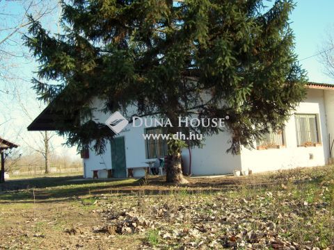 Eladó Ház, Csongrád megye, Csongrád - kónyaszéki tanya