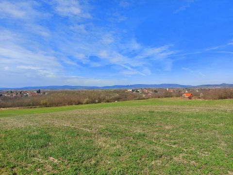 Eladó Telek 8086 Felcsút Felcsút, Petőfi utca végén panorámás telek