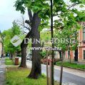 Eladó Ház, Csongrád megye, Szeged - 2 lakásos családi ház a Belvárosban