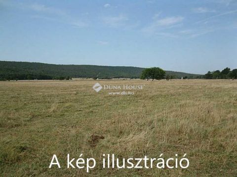Eladó Telek 5091 Tószeg 