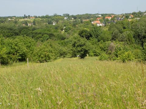 Eladó Telek 8395 Felsőpáhok 