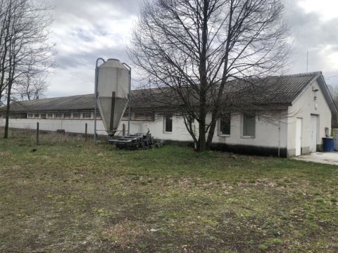 Eladó Mezőgazdasági 6000 Kecskemét , AZ 52-ES FŐÚTHOZ KÖZVETLEN KAPCSOLATTAL RENDELKEZŐ 15 HEKTÁROS TERÜLET 450 M2-ES TÉGLA ÉPÍTÉSŰ ÉPÜLETTEL ÉS CSALÁDI HÁZZAL