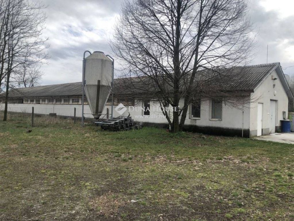 6000 Kecskemét , AZ 52-ES FŐÚTHOZ KÖZVETLEN KAPCSOLATTAL RENDELKEZŐ 15 HEKTÁROS TERÜLET 450 M2-ES TÉGLA ÉPÍTÉSŰ ÉPÜLETTEL ÉS CSALÁDI HÁZZAL — 1/26