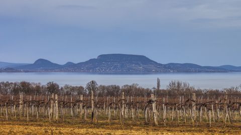 Eladó Telek 8648 Balatonkeresztúr ===Balatonkeresztúri szőlőhegy tetején panorámás telek ===