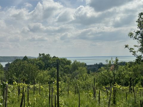 Eladó Telek 8220 Balatonalmádi , Balatonalmádi 