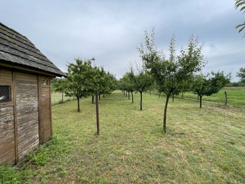 Eladó Telek 2364 Ócsa , Ócsa, Öreghegyi pincesor.