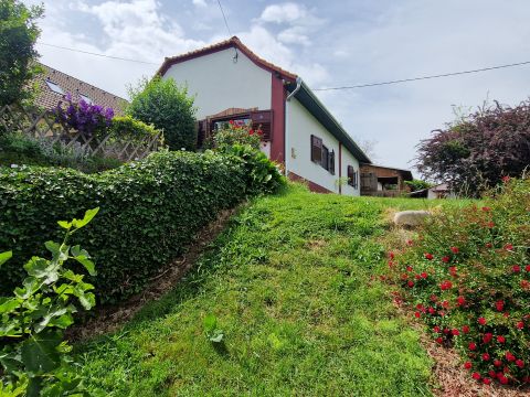 Eladó Ház 7720 Pécsvárad , Eladó egy felújított, egyedi hangulatú parasztház Pécsváradon, a Zengő hegy lábánál