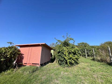 Eladó Telek 2510 Dorog 