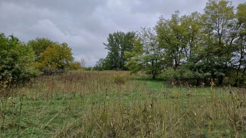 Eladó Telek 2146 Mogyoród , Mogyoród Filmpark és  M3-as lejáró közelében 1/2 tulajdon rész