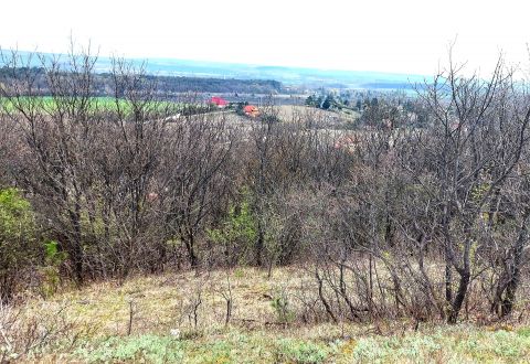 Eladó Telek 8044 Kincsesbánya 