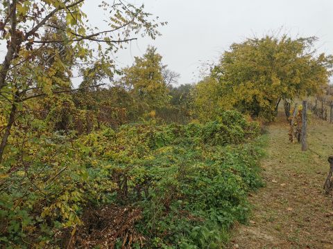 Eladó Telek 2890 Tata 