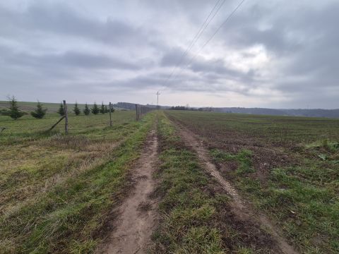 Eladó Telek 2217 Gomba Gombai út 1.