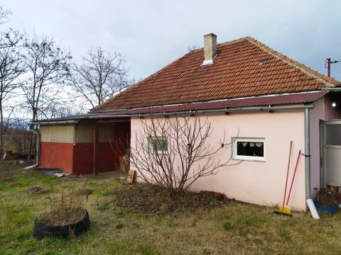 Eladó Ház 2194 Tura Szent István út közelében!