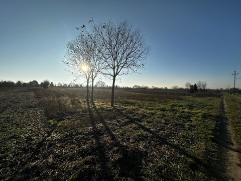 Eladó Telek 8171 Balatonvilágos , magas parttól 150 m sétára 1779 m2-es telek eladó