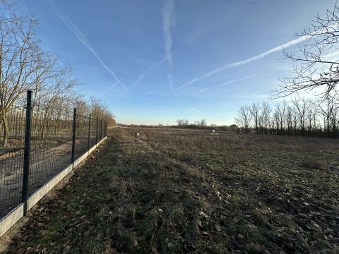 Eladó Telek 6000 Kecskemét , Úrihegy