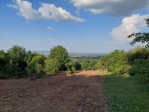 Eladó Telek 8352 Bazsi , Balatontól 20 km-re eladó telek