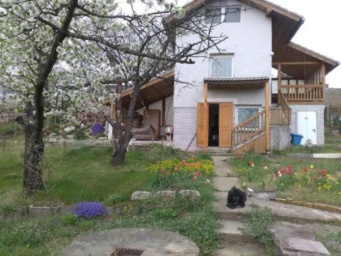 Eladó Ház 2113 Erdőkertes Erdőkertes csendes utcájában