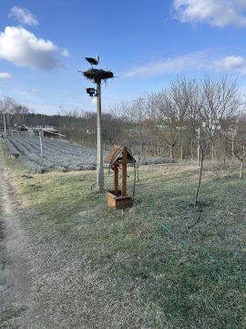 Eladó Telek 4532 Nyírtura Nyírtura