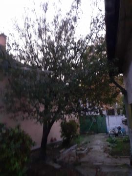 Eladó Telek 6000 Kecskemét Építési telek ELADÓ a belvárosban!