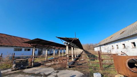 Eladó Mezőgazdasági 6800 Hódmezővásárhely 