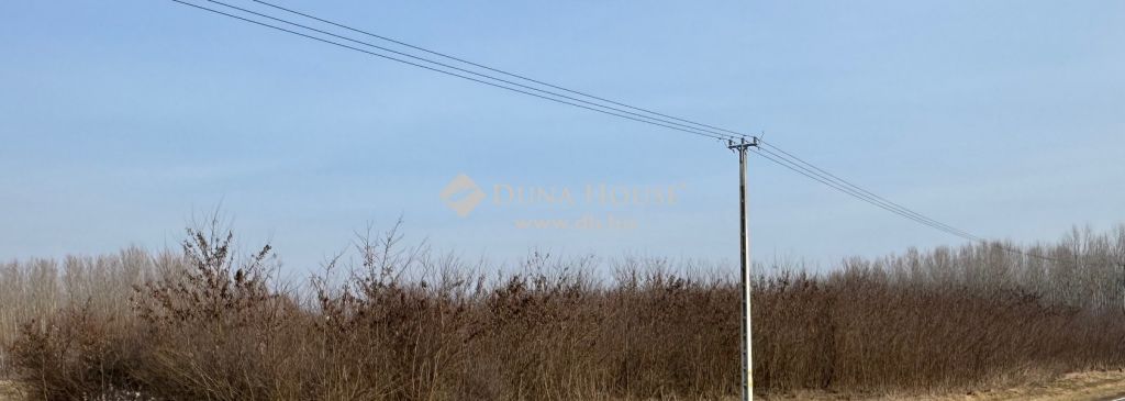 4511 Nyírbogdány , Bevezető út mellett — 1/4