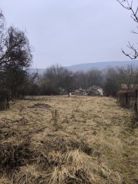 Eladó Ház 2165 Kisnémedi Némedi patak