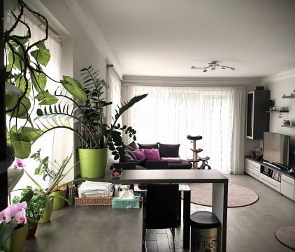 Eladó Lakás 4030 Debrecen , Homokkertben, gyönyörű penthouse lakás eladó!