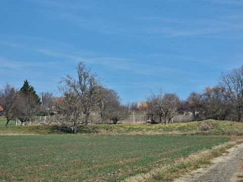Eladó Telek 2463 Tordas , Öreghegy