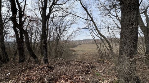 Eladó Telek 8242 Balatonudvari , Balatonudvari erdős része