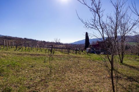 Eladó Telek 8316 Várvölgy , 8316 Várvölgy, Panorámás