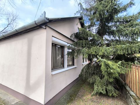 Eladó Ház 6065 Lakitelek ELADÓ NYARALÓ A TŐSERDŐBEN. 