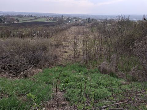 Eladó Ház 2060 Bicske Bicske, Galagonyás dűlő 4-es
