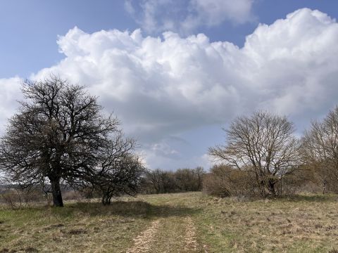 Eladó Telek 8245 Vászoly , Vidéki nyugalom és lehetőség egy helyen!