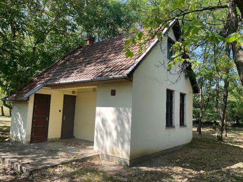 Eladó Ház 5700 Gyula , 5700 Gyula, Szanazug