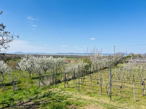 Eladó Telek 8636 Balatonszemes 