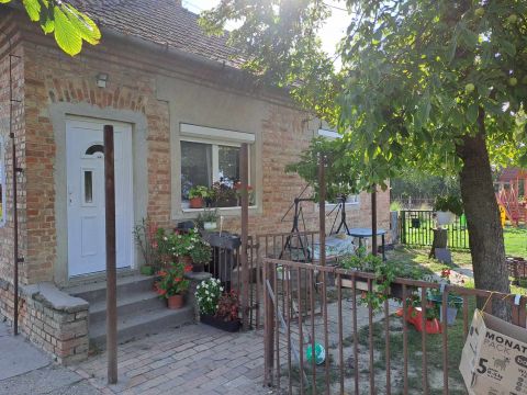 Eladó Mezőgazdasági 6645 Felgyő 