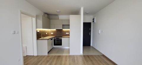 Kiadó Lakás 1237 Budapest 23. kerület 