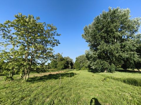 Eladó Telek 8647 Balatonmáriafürdő 
