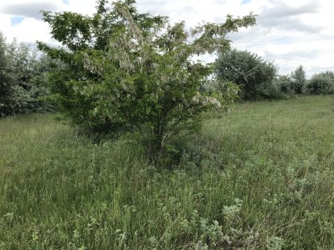 Eladó Telek 8000 Székesfehérvár 