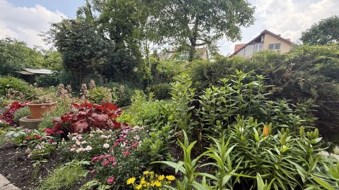 Eladó Lakás 1033 Budapest 3. kerület , Zöld kis utcában, azonnal költözhető tégla garzon