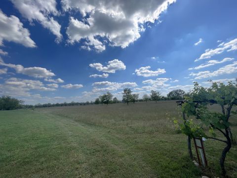 Kiadó Telek 9071 Gönyű KIADÓ 3000 m2 KÜLTERÜLETI TELEK, PIACTÉR, GKSZ ÖVEZETBEN