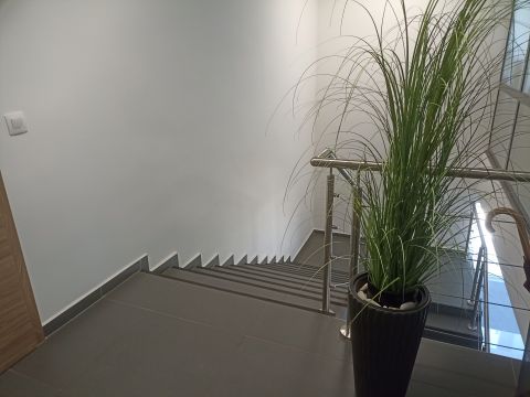 Kiadó Iroda 8900 Zalaegerszeg 