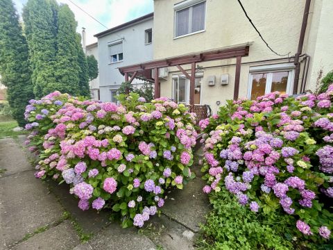 Eladó Ház 7627 Pécs 