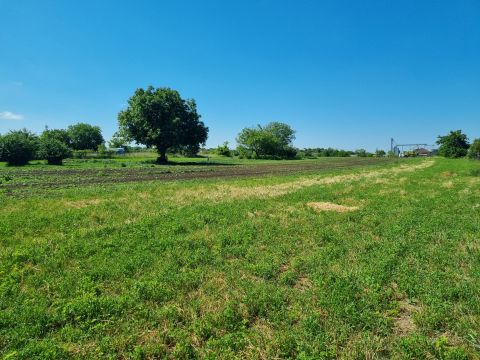Eladó Telek 8092 Pátka , Vargahegyen