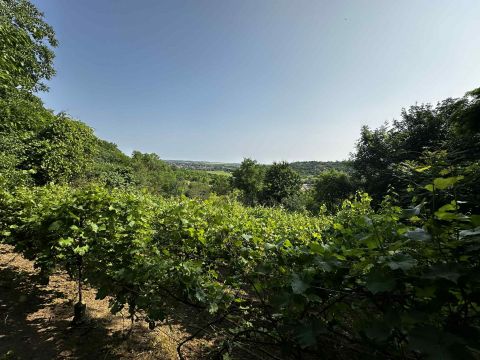 Eladó Ház 7090 Tamási 3234 m2-es zártkert, 65 m2-es épülettel, napelemmel.