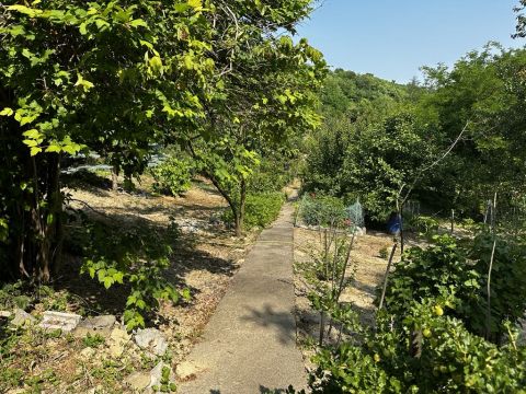 Eladó Ház 7090 Tamási eladó 1250 m2-es zártkert, 30 m2-es faházzal, napelemmel!