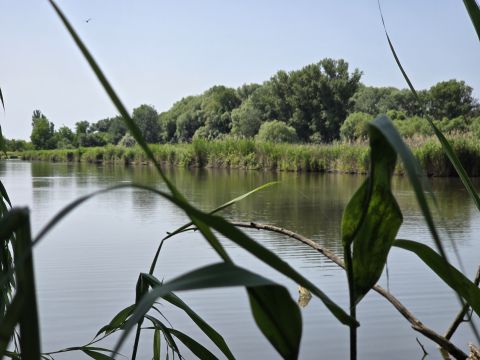 Eladó Ház 2461 Tárnok , HÁZ A TÓNÁL